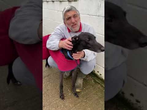 Our first First Friday Stats video 5 Jan 2024