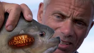 Piranhas: A Misunderstood Monster - River Monsters