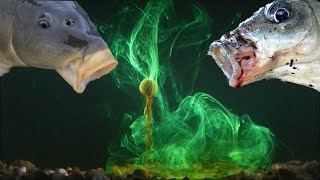 На что ловли карпа летом насадки