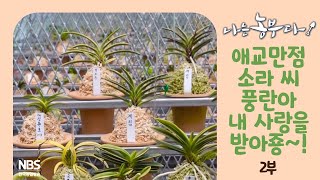 [나는농부다 261회 2부] 애교만점 소라 씨 풍란아 내 사랑을 받아죵~!