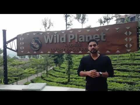 Tovino Thomas- Malayalam Cine Actor