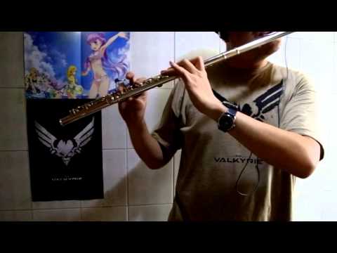 All I Ask of You - Flute Cover