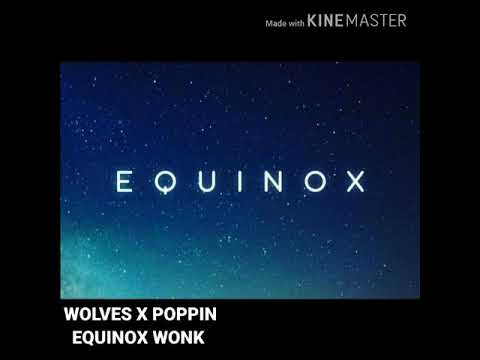 Wolves X Poppin EQUINOX BLUE WONK