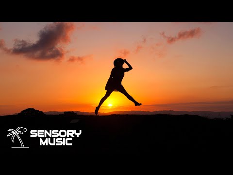 Sick Individuals x Alle Farben feat. The Runaway Club - My Life