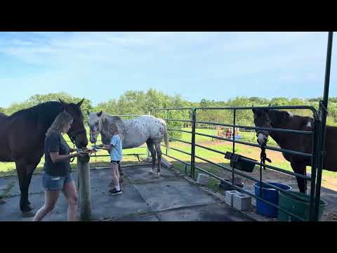 Baelfire turns 7, Milkshake turns 14 and Arizona turns 21 :)