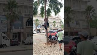 Download lagu YOU ASKED ‼️ mp3 Download lagu YOU ASKED ‼️ mp3