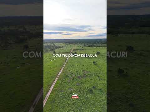 Fazenda de 385 alqueires (1.858 ha) em Araguapaz -GO - Para pecuária #fazendaavenda #agro