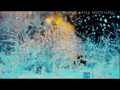Kauneid jõule ja edukat uut aastat!