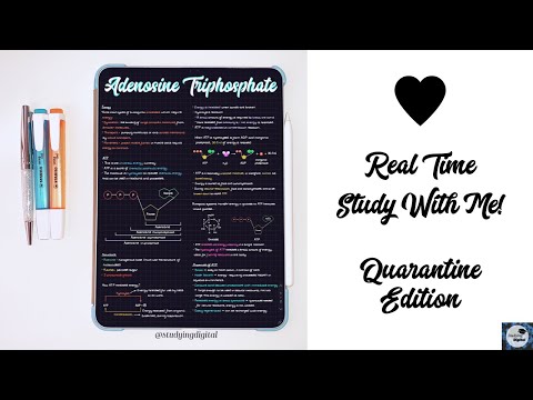 STUDY WITH ME | Real time | Online School - Studying Digital