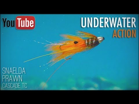 Snaelda Prawn Cascade TC