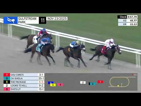 Gulfstream Park November 23, 2025 Race 11