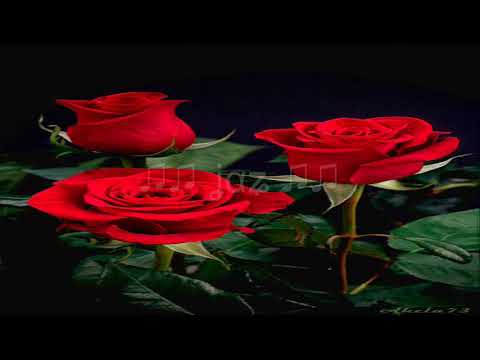 The George Shearing Quintet and Orchestra /  What Is There To Say