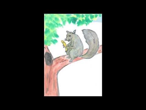 歌謠篇 東魯凱語 09boboto 松鼠