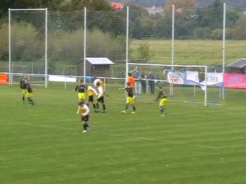 Dresden 06 Laubegast - NFV Gelb-Weiß Görlitz 09  2:0 (1:0)