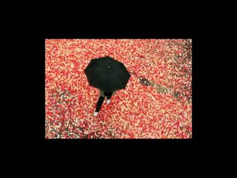 Mercado de Luxo - Funerárias