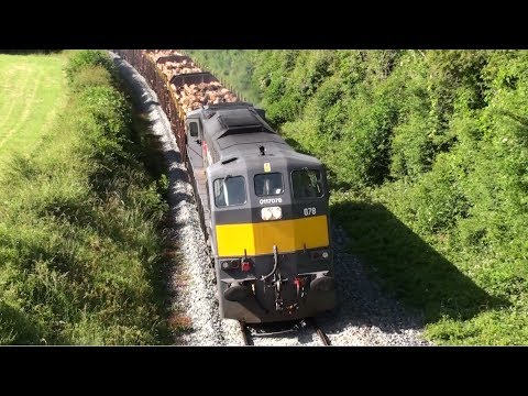 Irish Rail Timber Trains 30-6-2014