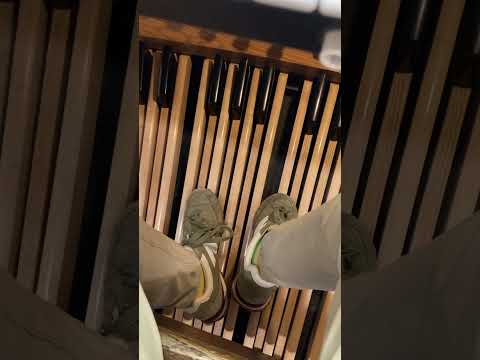 Allen Organ 16' Stop, 32' Stop, 64' Stop, 128' Stop, and 256' Stop (Down to about 2.04 Hz C-3 Note)