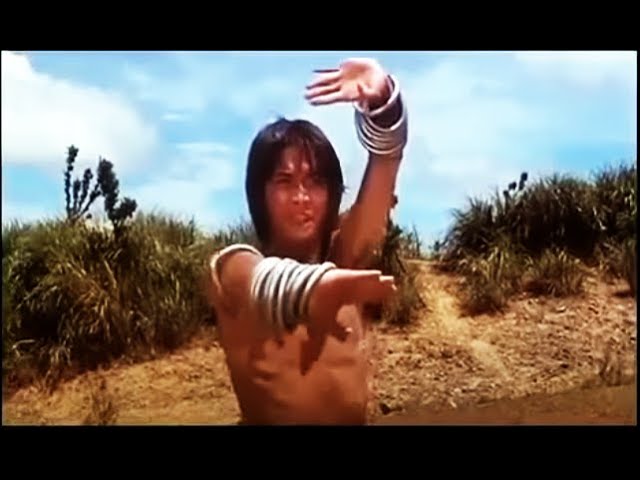 Vídeo relacionado con Regalo retro de la película de artes marciales de KungFu Sudadera con Capucha