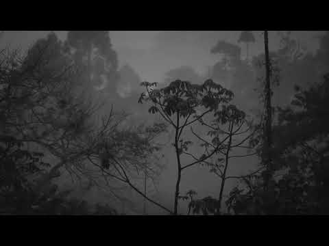 Idite na Spavanje uz grmljavinu i kišu | Opuštajuća muzika kiša