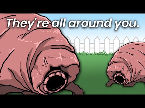 Why Tardigrades Are IMPOSSIBLE To Kill