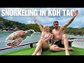 BEST Snorkeling Trip In Koh Tao Thailand (incredible encounters)