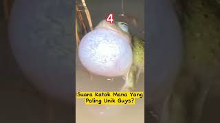 Download lagu #Suara Kodok Yg Unik Dan Lucu mp3 Download lagu #Suara Kodok Yg Unik Dan Lucu mp3