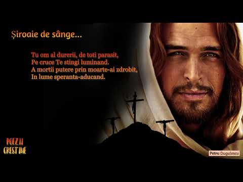 Şiroaie de sânge...    (Petru Dugulescu)