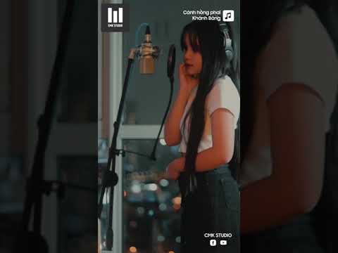 Cánh Hồng Phai – Ngô Khánh Băng (Cover) | Ca Khúc Về Đời Con Gái Buồn Và Sâu Lắng Nên Nghe