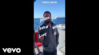 Craig David - When You Know What Love Is (Vertical Video)