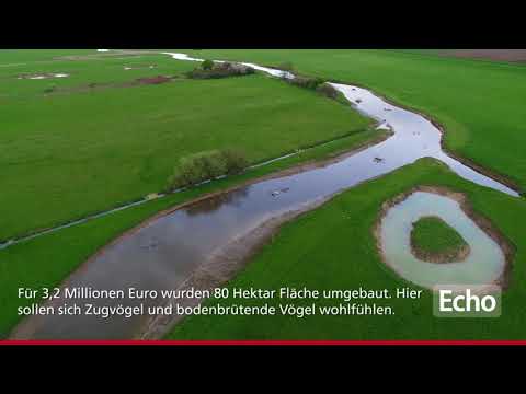 Weschnitz bei Lorsch wiedervereinigt