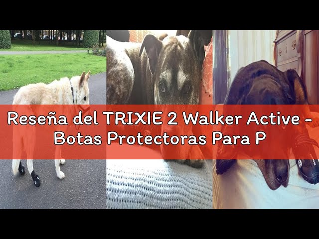 Vídeo relacionado con 2 Botas Protectoras Walker Active, Extra, M - Talla 4