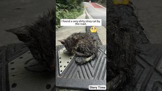 kind man found stray dirty kitten #cat #kitten #animals
