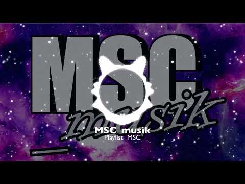 Vizzen & Protolizard - Heaven Knows [NCS Releases]( Reupload MSC_musik )