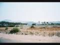 Cat power - great expectations