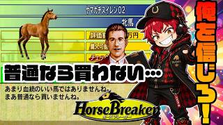 【競馬ゲーム】あききゅんが言うなら買います！買います！【ホースブレーカー】#02