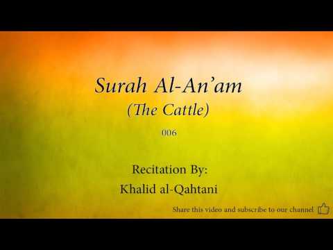 Surah Al An'am The Cattle   006   Khalid al Qahtani   Quran Audio