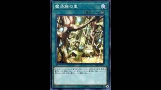 本日のエースカード→魔法族の里【遊戯王デュエルモンスターズレガシーオブザデュエリスト】