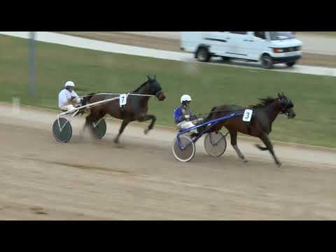 2018.03.31. 1. futam - FENYVES DÍJ