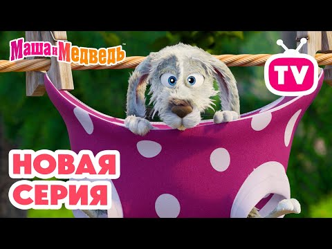 Маша и Медведь 💥 НОВАЯ СЕРИЯ! 💥 Скользкий тип 🧼🐰🥕 Коллекция мультиков про Машу
