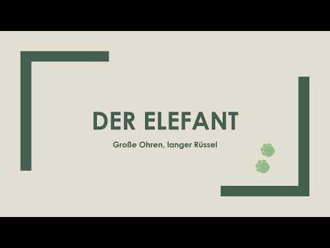 Der Elefant einfach und kurz erklärt