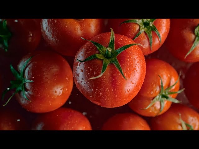 See how you can maximise the use of professional video for your business