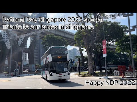 NDP SPECIAL! Singapore National Day 2022 theme song with buses  [Stronger Together]