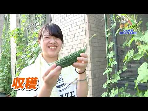 保健福祉学科 三原市チャンネル「市民いきいき健康ひろば」第129回『心と体を豊かにする園芸』
