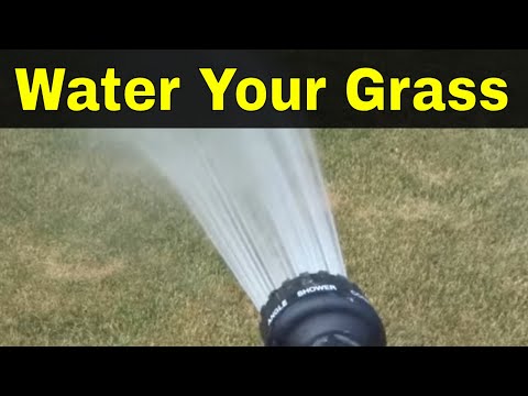 download lagu mp3 mp4 How Long Should You Water Grass In The Summer, download lagu How Long Should You Water Grass In The Summer gratis, unduh video klip How Long Should You Water Grass In The Summer