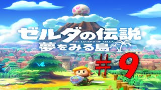 #９ 【ゼルダ 実況】夢をみる島スイッチ版！リメイクを20年前の記憶を辿りながら実況プレイ『ゼルダの伝説 夢をみる島』