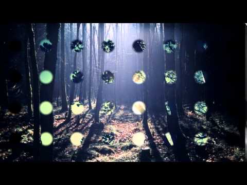 Civil Twilight - The Courage or the Fall