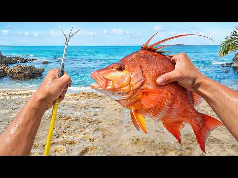 Catching My Food With A Spear (again…)