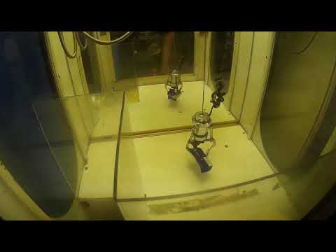 First Go On My New Claw Machine!