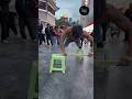 Unbelievable Street Stunt Crowd Can T Stop Laughing Funnystunt Streetperformance Shorts