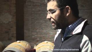 preview picture of video 'Vendimia del vino chileno Carmenere: del viñedo a la bodega'